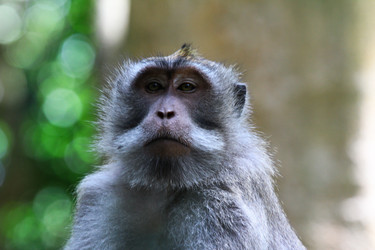 Similar image 710383