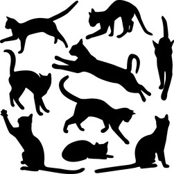 Similar image 710388