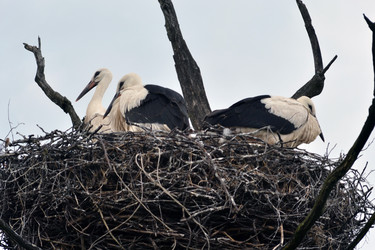 Similar image 710396