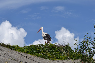 Similar image 710397