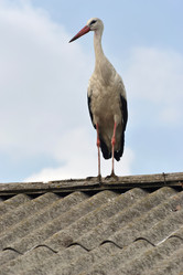 Similar image 710399