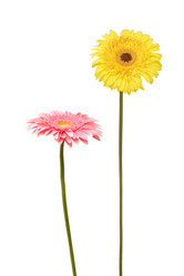 Similar image 710419