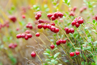 Similar image 710421