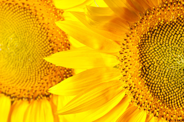 Similar image 710423