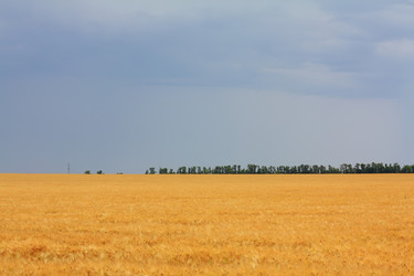 Similar image 710426