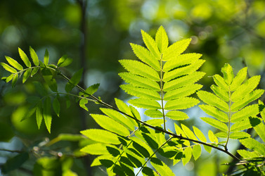 Similar image 710430