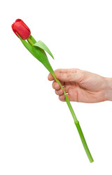 Similar image 710435