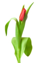 Similar image 710436