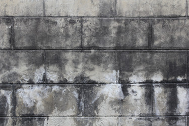 Similar image 710437