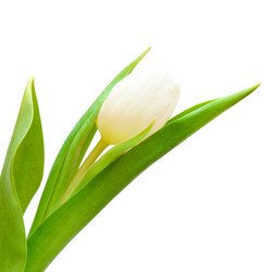 Similar image 710439