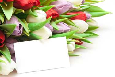 Similar image 710442