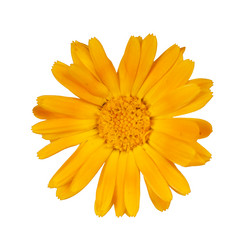 Similar image 710446