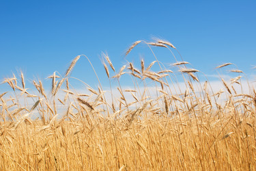 Similar image 710457