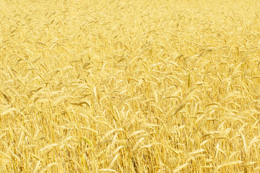 Similar image 710459