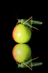 Similar image 710460