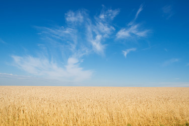 Similar image 710465