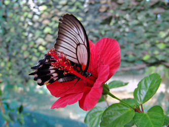 Similar image 710489