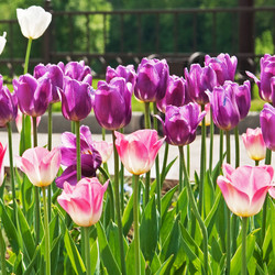 Similar image 710495