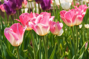 Similar image 710496