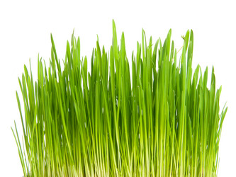 Similar image 710498