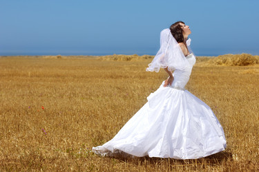 Similar image 710500