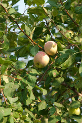 Similar image 710506