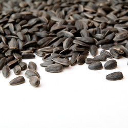 Similar image 710512