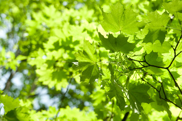 Similar image 710532