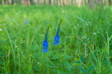 Similar image 710544