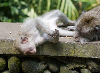 Similar image 710545