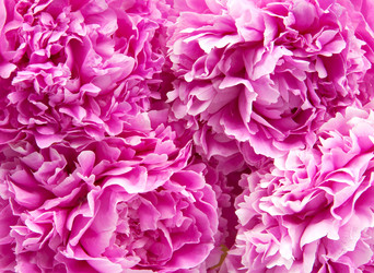 Similar image 710561