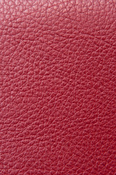 Similar image 710569