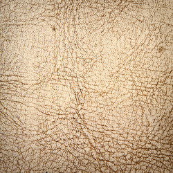 Similar image 710578