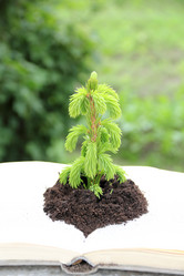 Similar image 710582