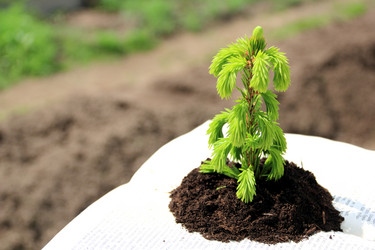 Similar image 710584