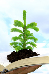 Similar image 710589