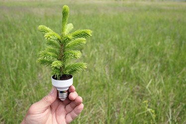 Similar image 710600