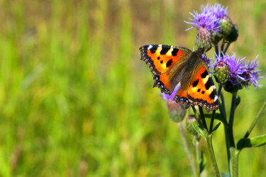 Similar image 710608