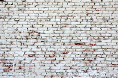 Similar image 710623