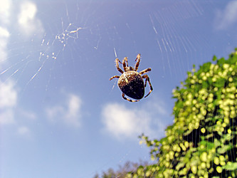 Similar image 710645