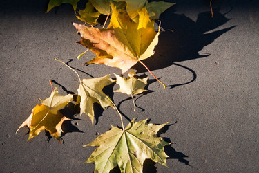 Similar image 710673