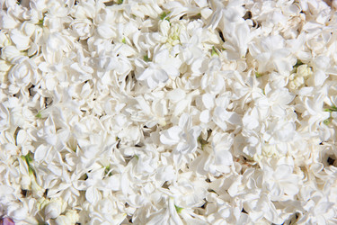 Similar image 710680