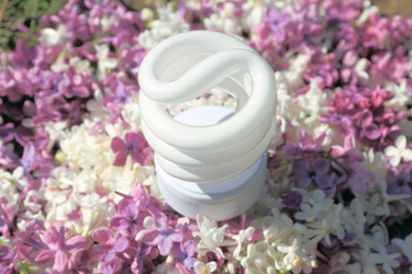 Similar image 710684