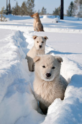 Similar image 710773