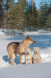 Similar image 710778