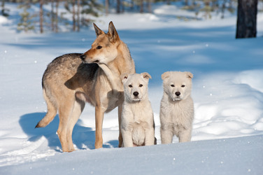 Similar image 710786