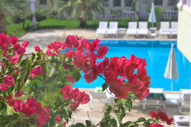 Similar image 710794