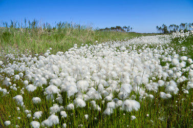 Similar image 710812