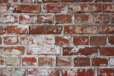 Similar image 710834