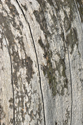 Similar image 710882